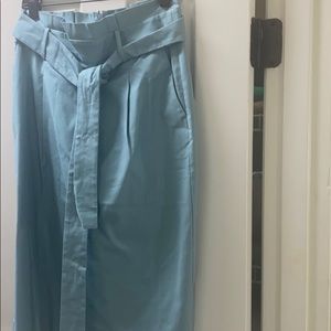 NWT Ann Taylor Belted Skirt